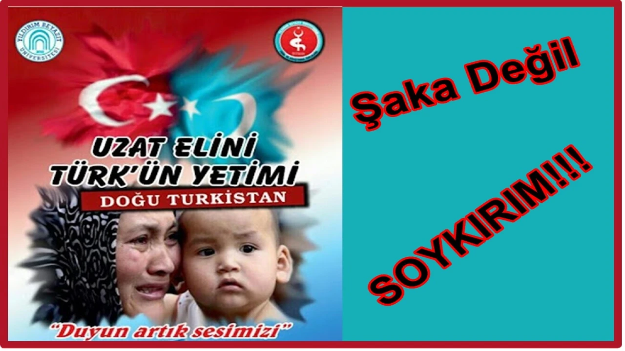 SESSİZ ÇIĞLIK: DOĞU TÜRKİSTAN’IN YALNIZLIĞI ARTIK SON BULMALI