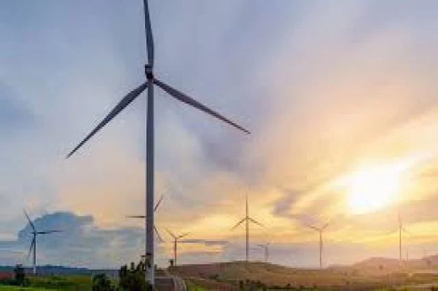 AY ANA, YEL VURUB SINDIRDI   SÜNBÜLÜMÜZÜ...