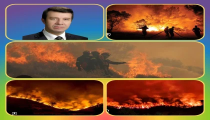 MEHMET PAMUK: "YANGIN UÇAKLARI ALINMADIĞI HER GÜN, BİZİM CANIMIZ YANIYOR!"