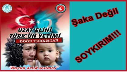 SESSİZ ÇIĞLIK: DOĞU TÜRKİSTAN’IN YALNIZLIĞI ARTIK SON BULMALI